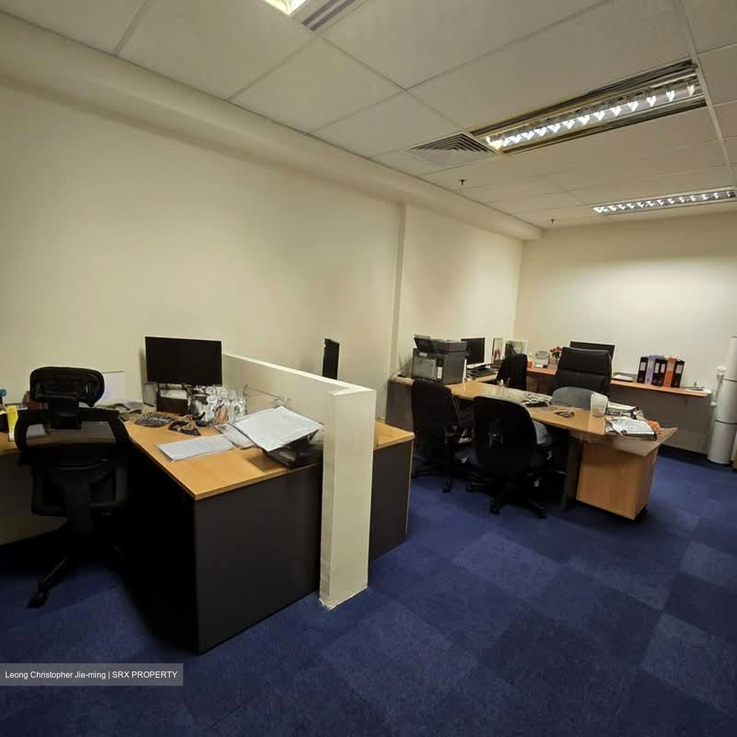 Tan Eng Kiam Building (D1), Office #557113461